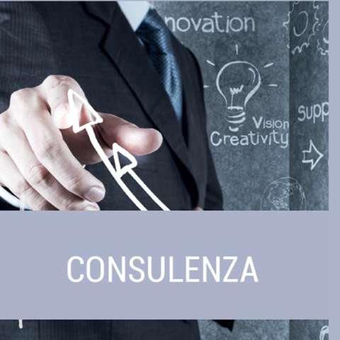 consulenza_mod